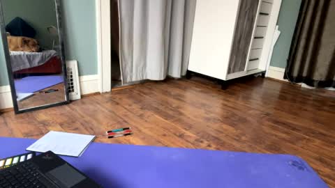 toxiclayne online show from 04/10/26, 02:33