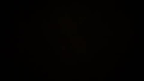 toxicted4 online show from 12/05/24, 02:22