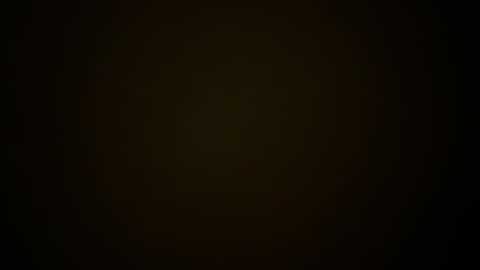 toxicted4 online show from 12/19/24, 02:02