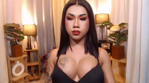 transpornidol online show from 02/08/26, 03:48