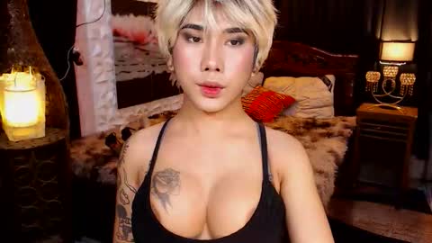 transpornidol online show from 02/13/26, 07:10