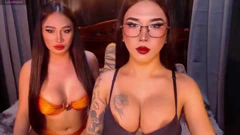 transpornidol online show from 07/19/26, 05:00