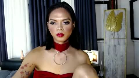 transsitips online show from 12/05/25, 02:58