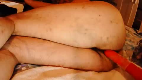 traveller313 online show from 05/06/26, 08:36
