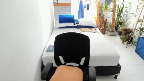 travis bakerr online show from 12/11/24, 02:22