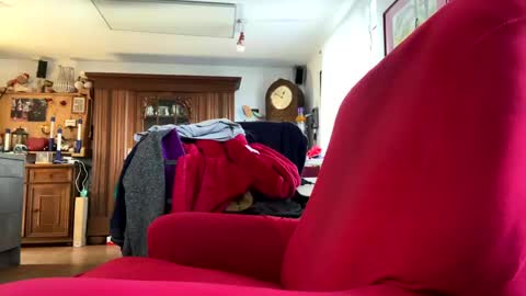 trebgeis1 online show from 02/18/25, 11:44