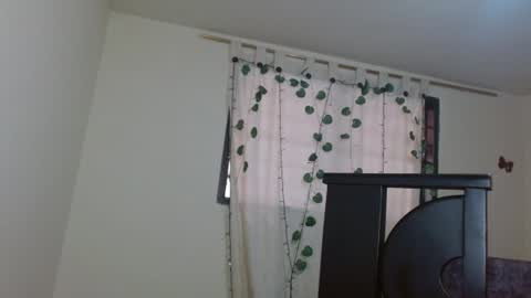 trebol_4 online show from 07/11/26, 06:54