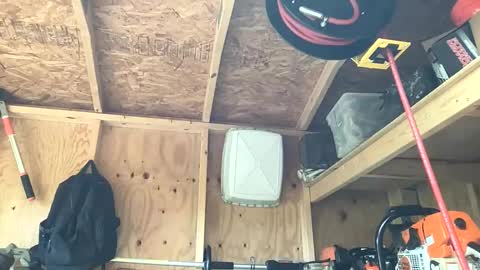 treeman817 online show from 05/28/26, 12:24