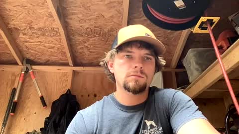 treeman817 online show from 06/11/26, 11:14