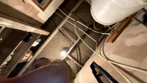 trees559 online show from 03/19/26, 05:55