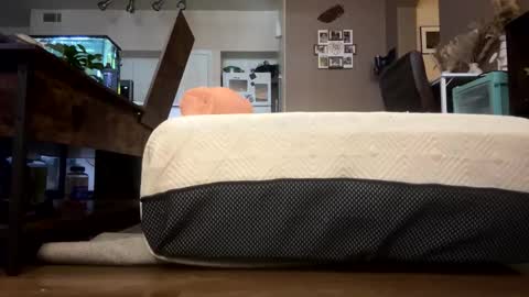 trickydick6 online show from 02/23/26, 07:11