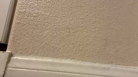 trickydick6 online show from 03/10/26, 05:01