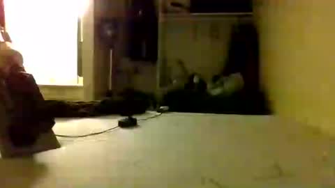 trickydick6 online show from 06/25/26, 08:19