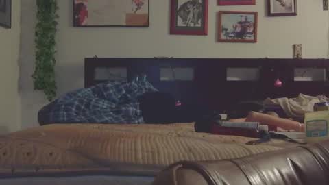 Snapshot of trinasvede chatting on 03/09/25, 06:28 Trina Tushy Deluxe online show from 03/09/25, 06:28