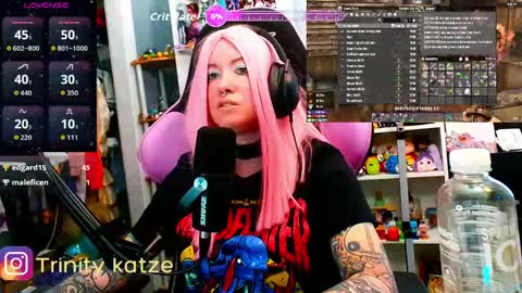 Trin Kat pet online show from 04/09/26, 06:46