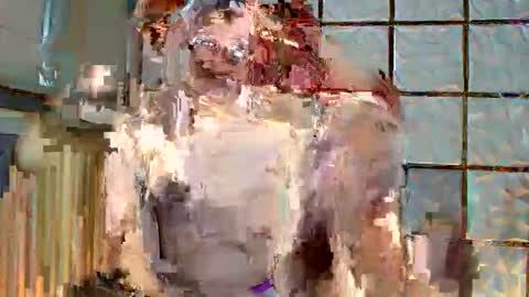 trixie_foxslut online show from 02/12/26, 11:05