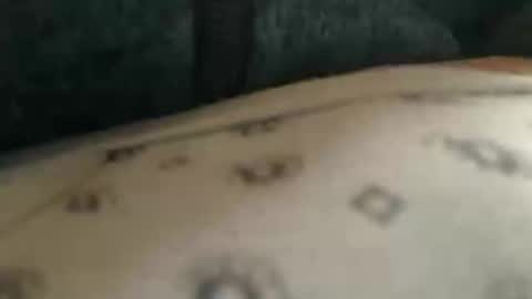 Snapshot of trobelle chatting on 11/25/25, 10:37 trobelle online show from 11/25/25, 10:37