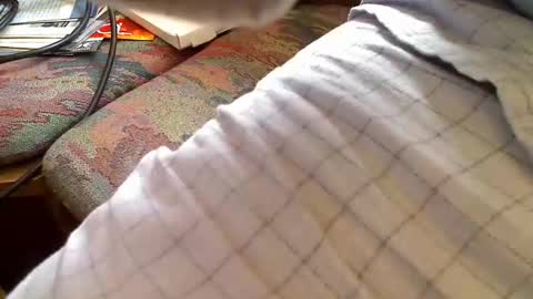 trobelle online show from 04/26/26, 08:56