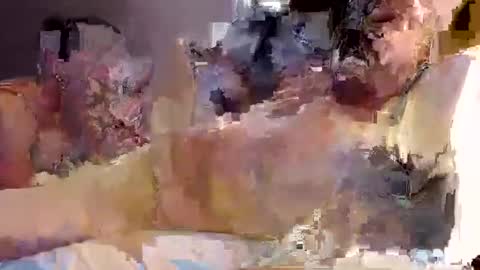 trojanswingers online show from 02/11/25, 05:29