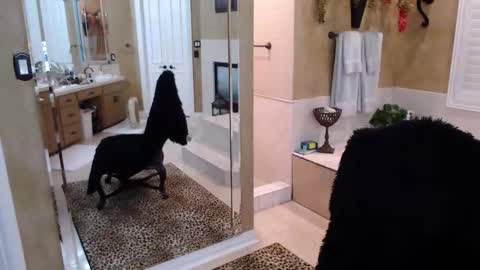 Trophy Wifey  iframe src height528 width850 s online show from 02/19/26, 08:21