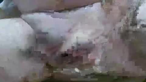 troy1965 online show from 02/11/26, 06:07