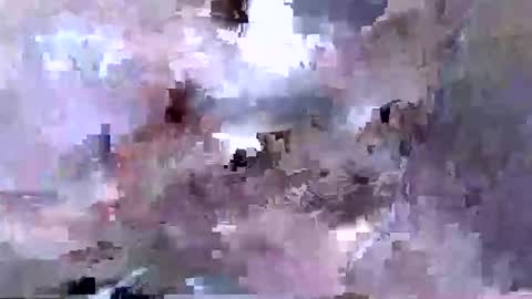 troy1965 online show from 04/12/26, 05:45