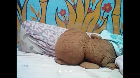 ts_cuumlover online show from 12/02/24, 01:14