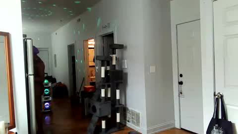 Amber White online show from 02/02/25, 07:46