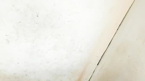 MA NI KA online show from 01/11/25, 06:35