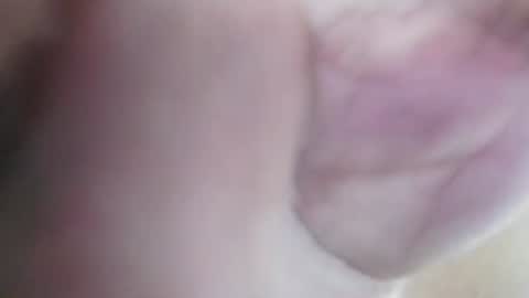 Tuistwer online show from 06/01/26, 05:53