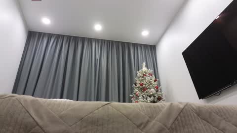 Ariana online show from 12/16/24, 02:25