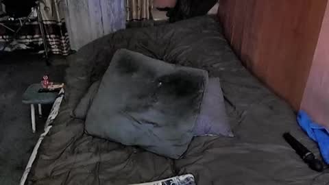 Lana online show from 03/06/25, 10:30