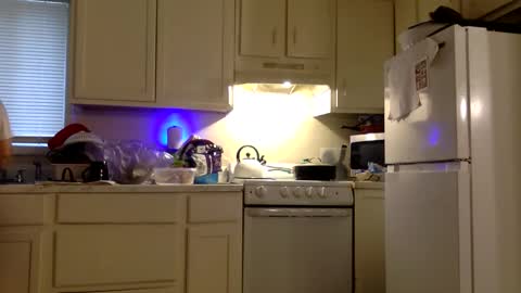 Snapshot of twinandlea chatting on 12/21/25, 08:38 Twin and Lea online show from 12/21/25, 08:38