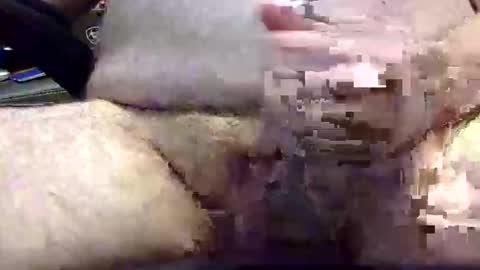 txranger6519 online show from 04/22/26, 12:39