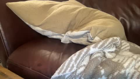 ty223222 online show from 02/06/25, 10:37