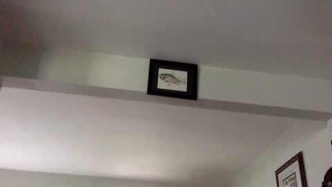 Tyler Durden online show from 02/08/25, 06:12