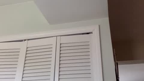 Tyler Durden online show from 03/01/25, 03:38