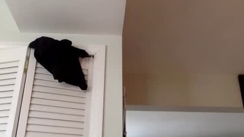 Tyler Durden online show from 03/02/25, 01:38