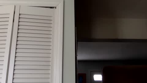 Tyler Durden online show from 03/02/25, 07:45