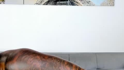 Dvid Rullers online show from 11/07/25, 12:32