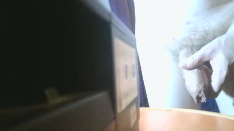 Snapshot of u02g2 chatting on 12/21/24, 08:00 u02g2 online show from 12/21/24, 08:00