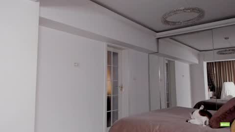 Silvia online show from 12/15/24, 05:42