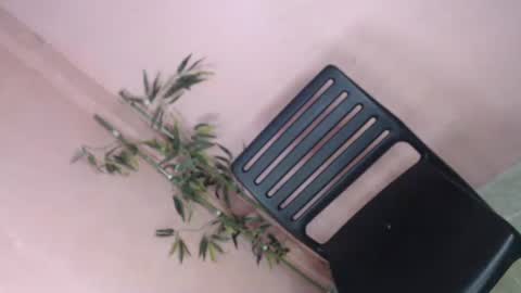 unknown_trans18 online show from 04/05/26, 11:24