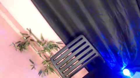 unknown_trans18 online show from 04/21/26, 11:49