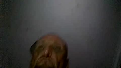 uplatenhorny2379 online show from 12/20/25, 01:51