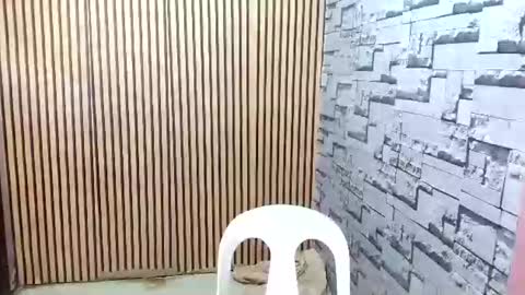 ur_asian_wife6969 online show from 03/18/26, 05:21