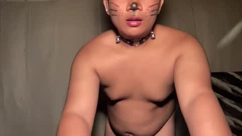 DA online show from 04/08/26, 03:56