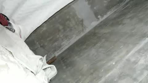 Ariana online show from 02/08/26, 02:15