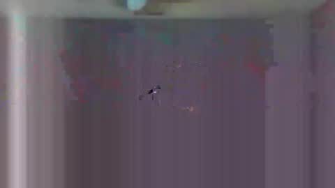 urls2025 online show from 11/23/25, 04:34