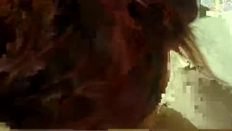 Aniie online show from 01/11/26, 05:12